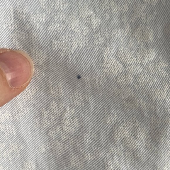 Gap Powder Blue White Floral Chino Capri Pants - Picture 4 of 9